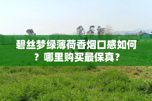 碧丝梦绿薄荷香烟口感如何？哪里购买最保真？
